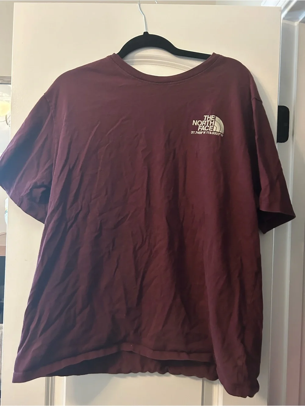 The North Face Men's Maroon Short-Sleeve Logo Tee